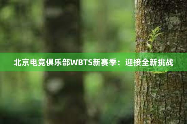 北京电竞俱乐部WBTS新赛季：迎接全新挑战
